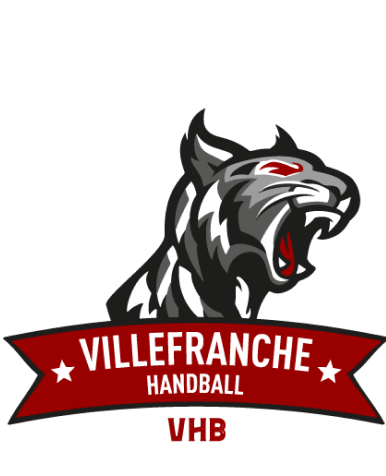 Logo VHB Blanc VF